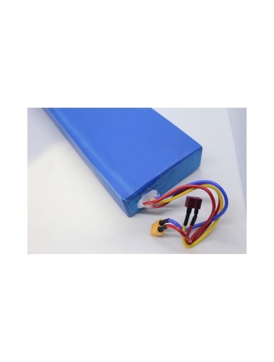 [Battery-60v-18.2ah-dualtron-eagle-one] Battery (Batería) 60V 18.2A Dualtron Eagle One