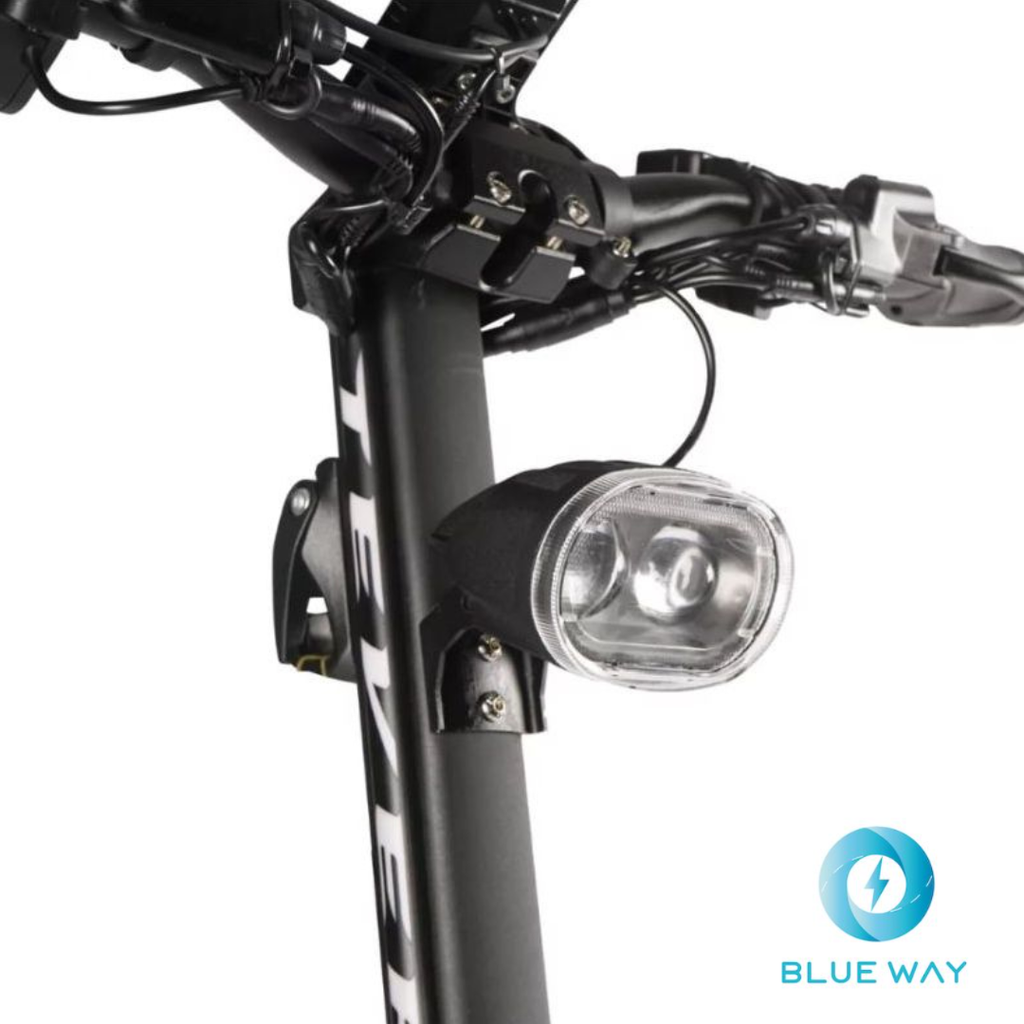 Teverun Fighter 11+ ( Fast charger incl.)