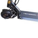 Teverun Fighter Mini Eco BOOST v4 21Ah + Bosch Motor + NFC badges red/green