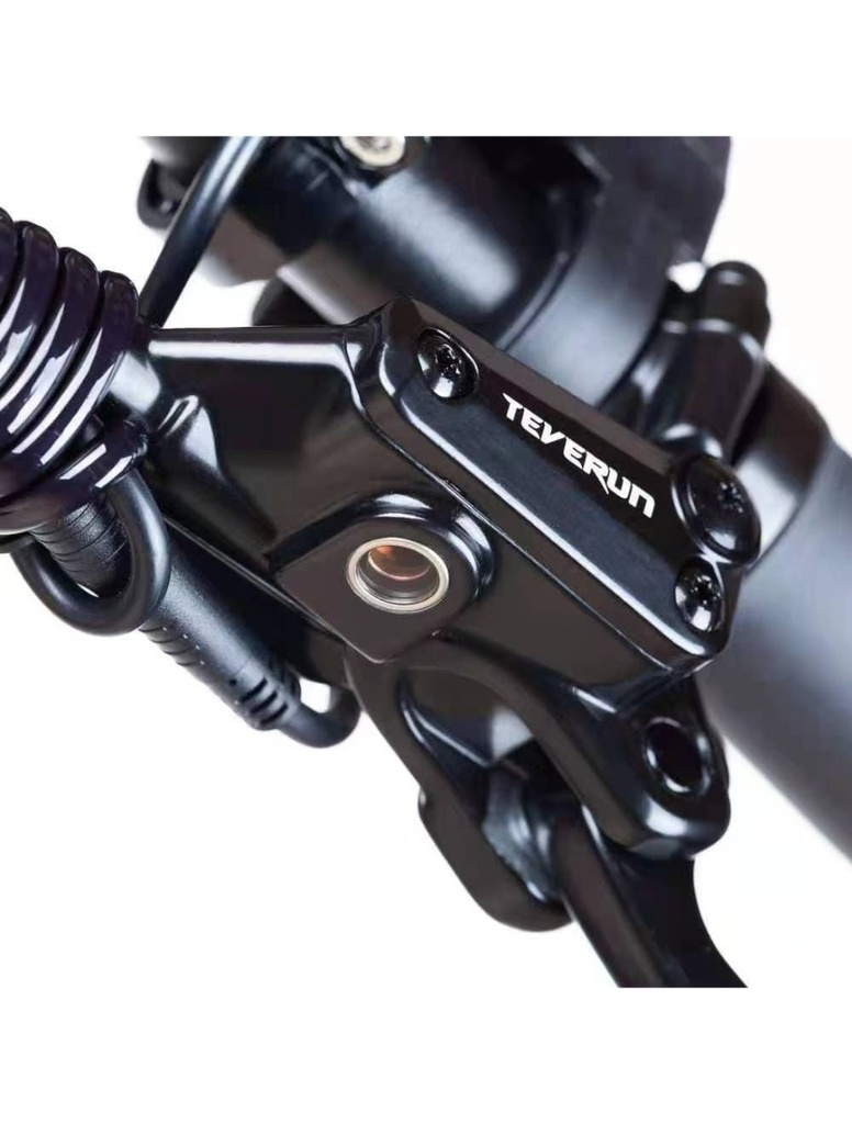 Teverun Fighter Mini Pro 60V 25 LG