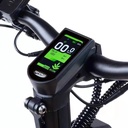 Teverun Fighter Mini Pro 60V 25 LG