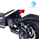 Teverun Fighter Mini Pro 60V 25 LG