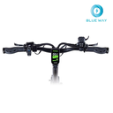 Teverun Fighter Mini Pro 60V 25 LG