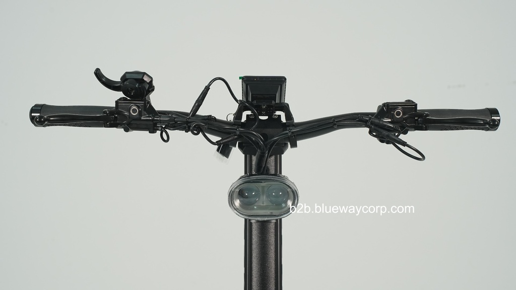 Teverun Fighter Supreme Plus 60Ah (Fast Charger Incl.)