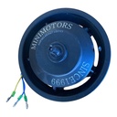 Front Motor (Motor delantero) Dualtron Spider