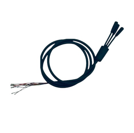 Cable principal (3 conectores y 10 pines) Kaabo Mantis 10