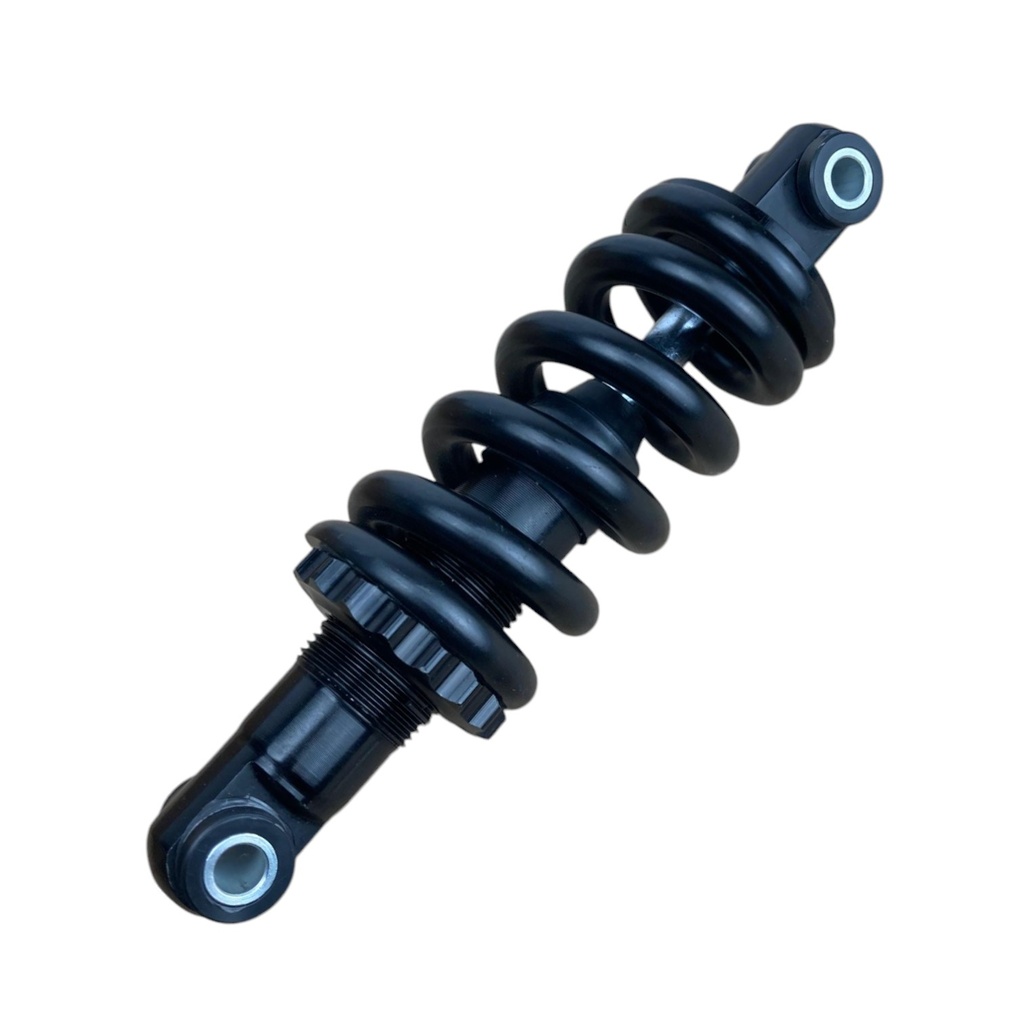 normal suspension (Suspension normal) Teverun Fighter 11