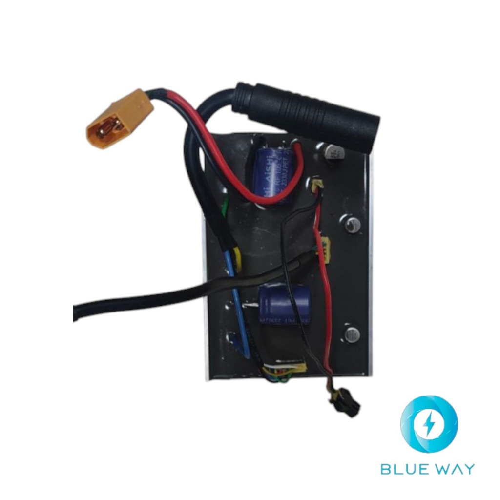 Driver board assembly (Placa de controlador) for Inmotion E20 & V6