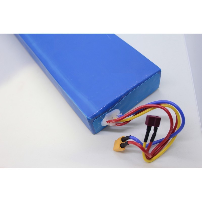 Battery (Batería) 60V 24Ah for Dualtron Victor